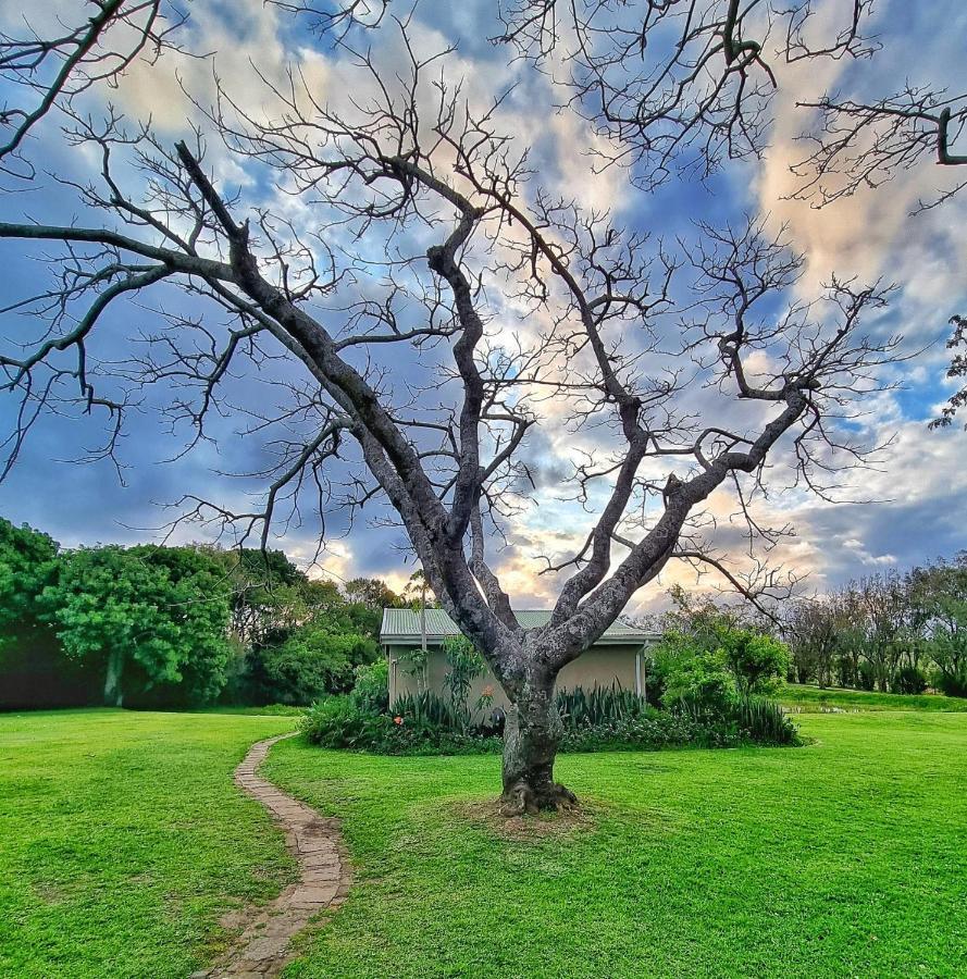 فيلا Oppieplaas Country Estate Haga Haga المظهر الخارجي الصورة